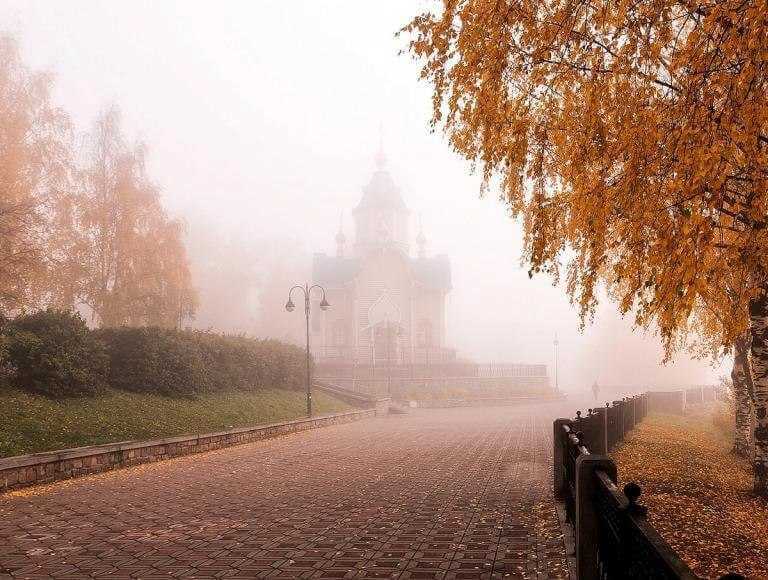 Дожди и не выше +11°С ожидается в начале следующей недели в Могилевской области