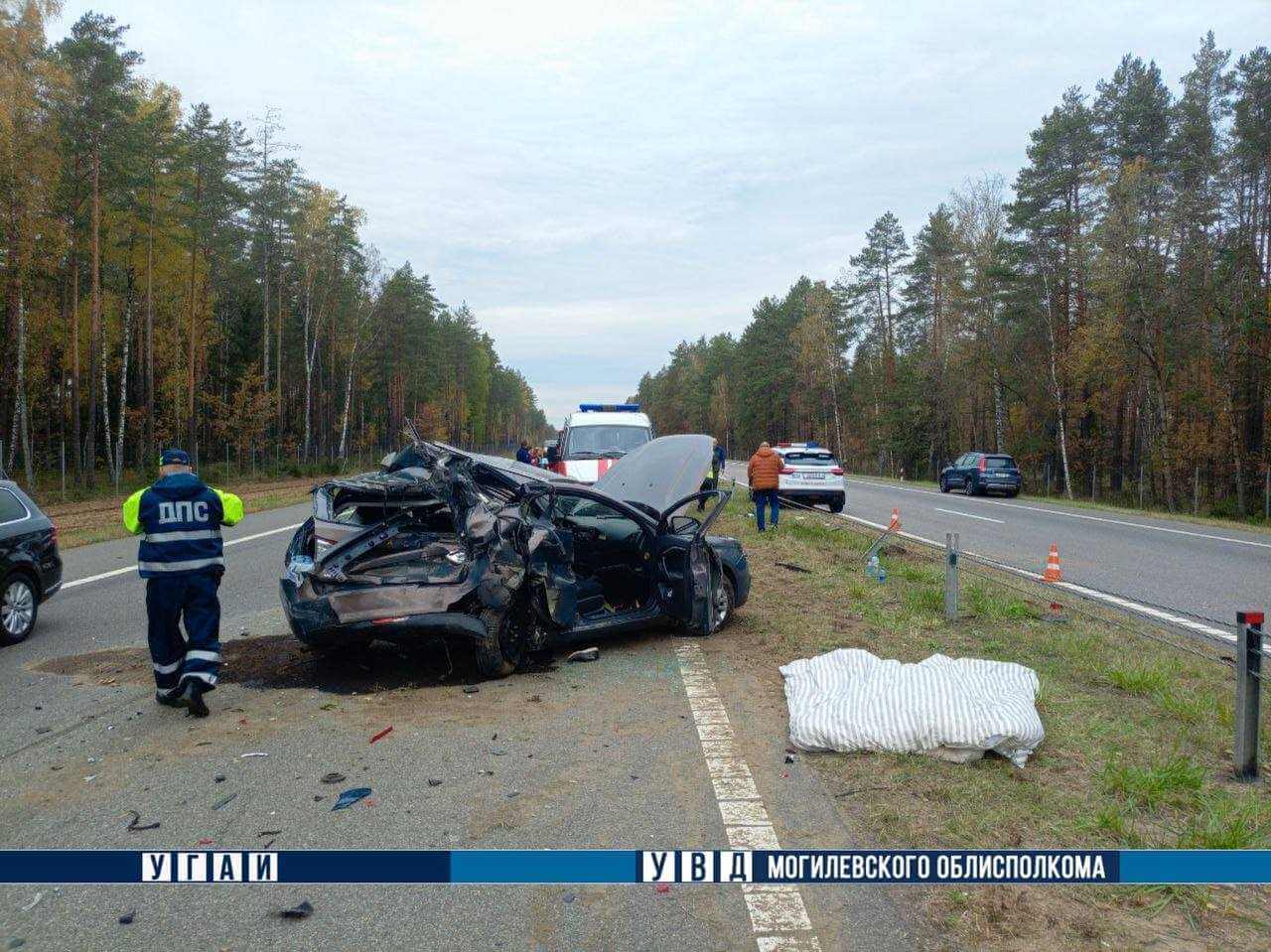 На Могилевщине произошло смертельное ДТП