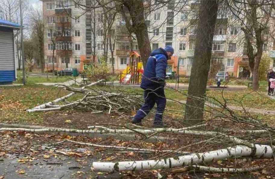 В Могилеве продолжают устранять последствия непогоды