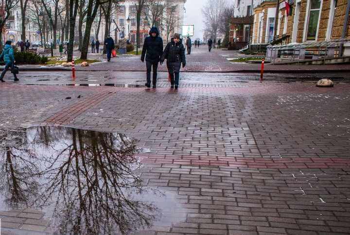 Зима в Могилеве выдалась аномально теплой: ждать ли снега в феврале?