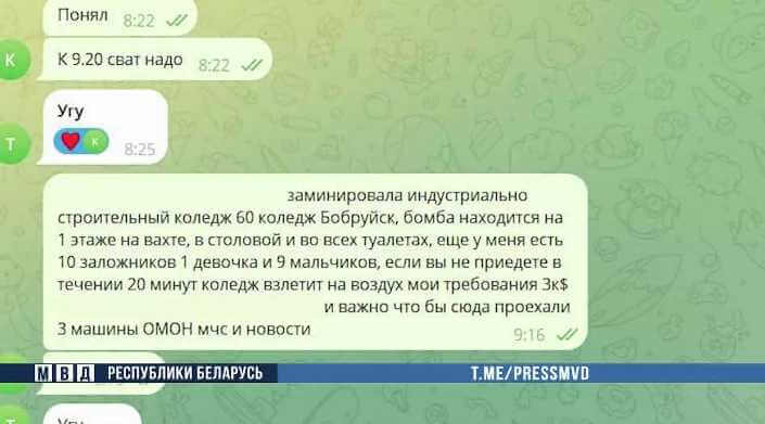 Несовершеннолетний сваттер задержан на Могилевщине