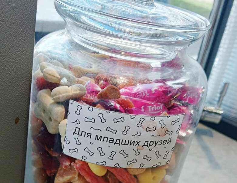 Кофейня для любителей собак открылась в Могилеве