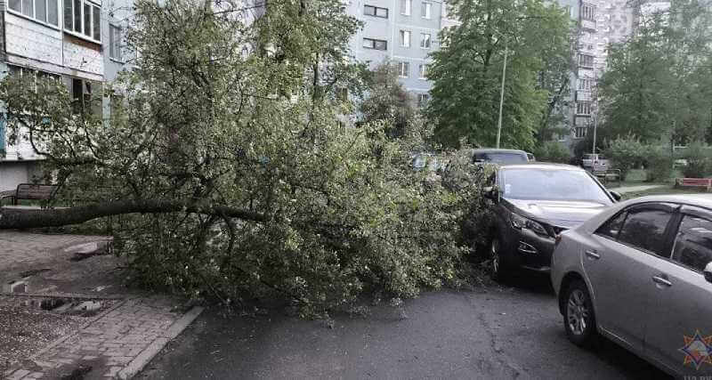 В МЧС Могилева рассказали про последствия вчерашней непогоды