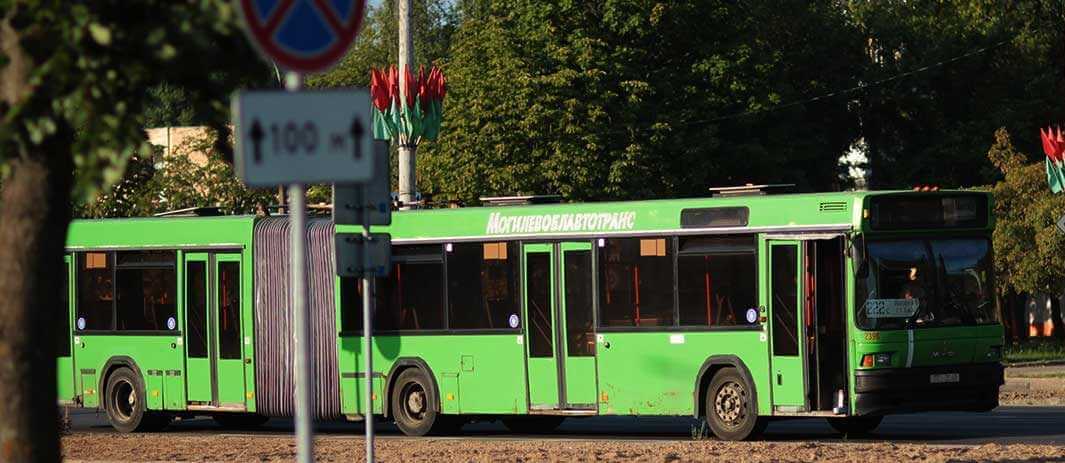 В Могилеве 9 мая пустят дополнительные автобусы в Печерский лесопарк