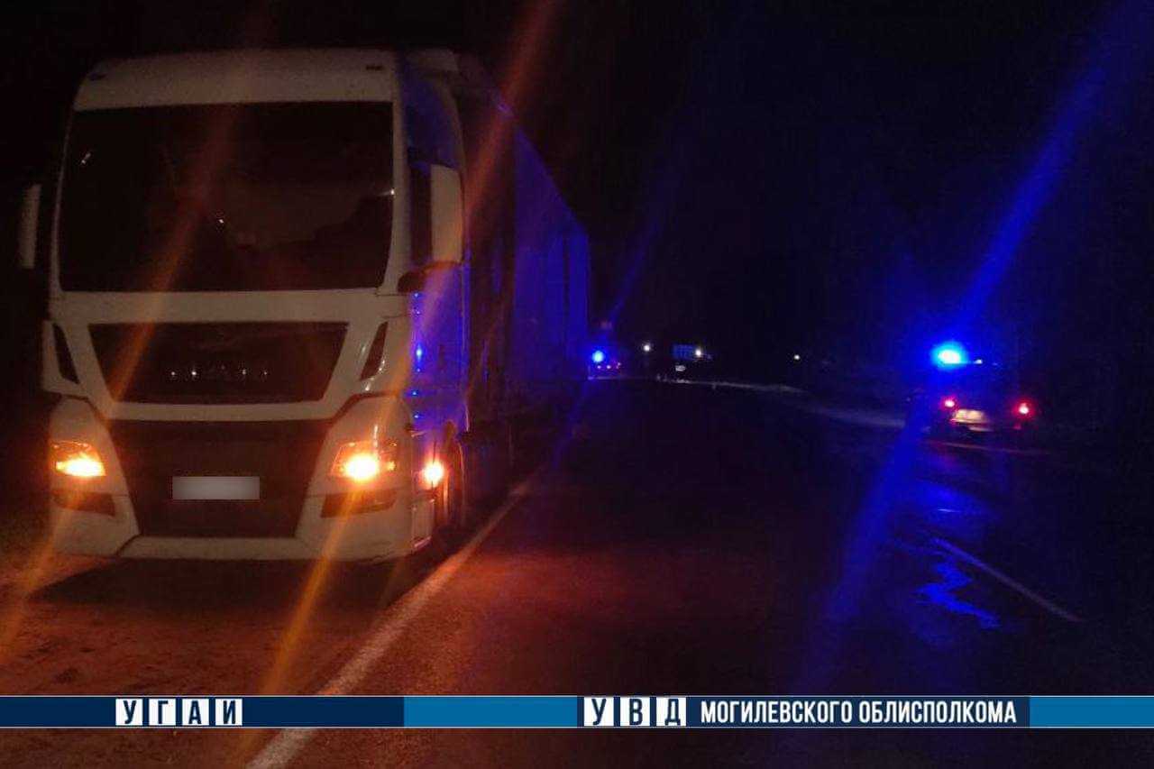 В Могилевском районе фура насмерть сбила мужчину