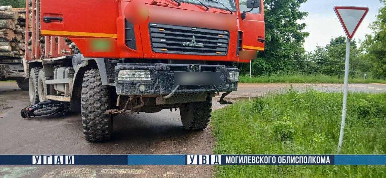 На Могилевщине столкнулись груженый лесовоз и мопед