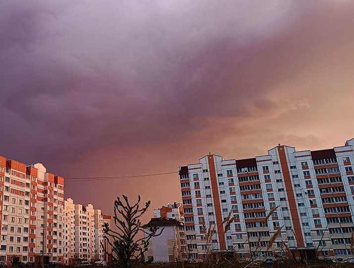 Могилевчанин-игроман обманул 11 белорусов, сдавая несуществующие квартиры
