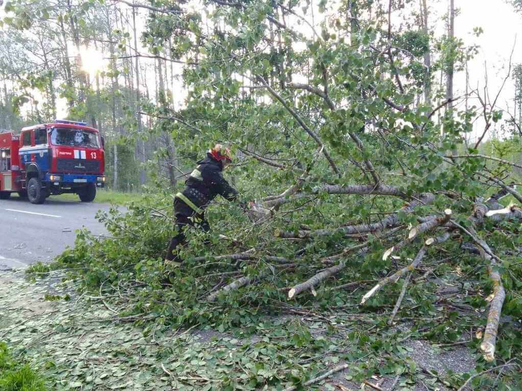 В МЧС показали последствия непогоды в Могилевской области