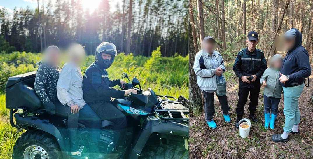 В Могилевской области за сутки в лесах потерялись шесть человек