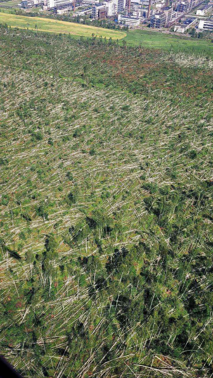 Yalangoch qizlar olomon