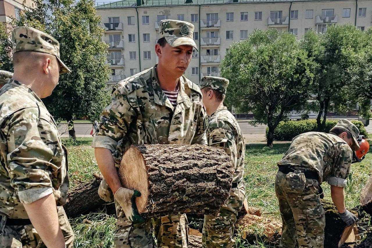 В устранении последствий стихии в Могилеве задействованы военные и сотрудники милиции