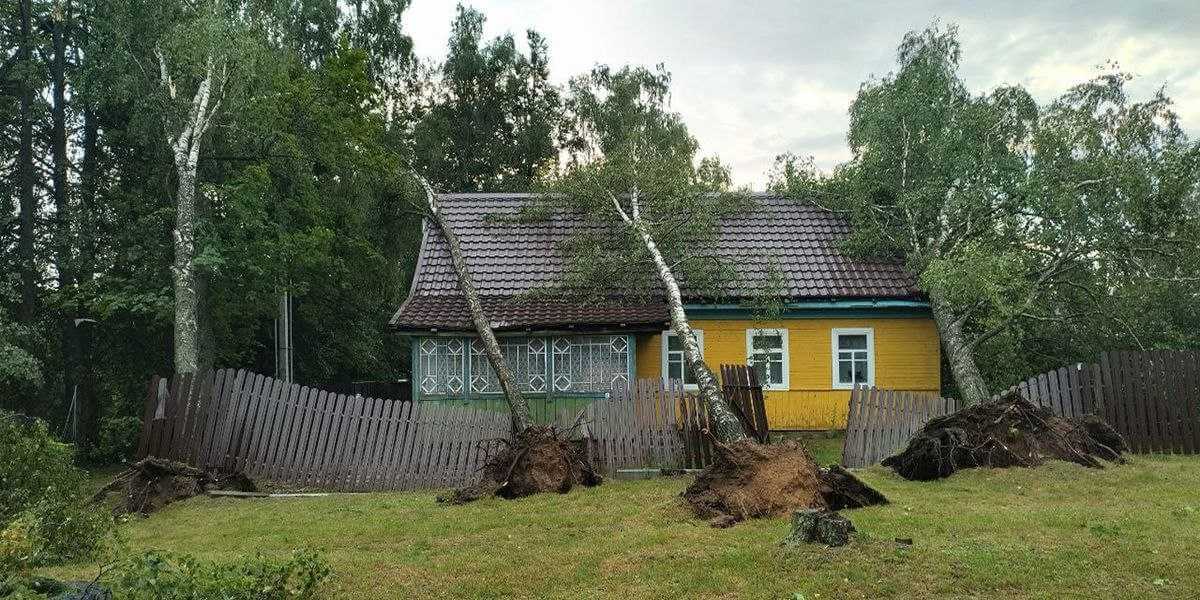 В результате стихии в Могилеве повреждено более 230 кровель