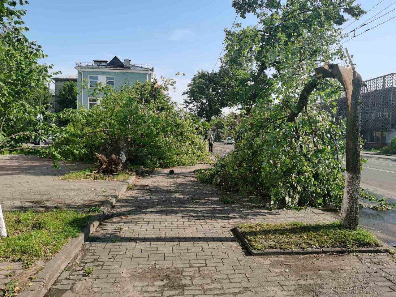 В Могилеве убрано 2782 дерева, отремонтировано 65 кровель жилых домов