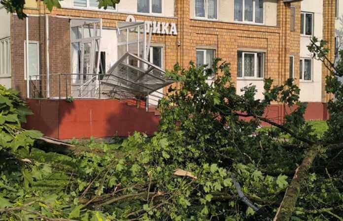 Молодежь Беларуси благоустраивает Могилев после разгула стихии.