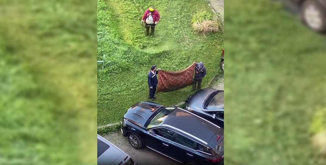 Могилевские коммунальщики прославились в Instagram