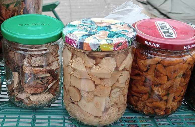 Какие лесные грибы сейчас можно купить в Могилеве