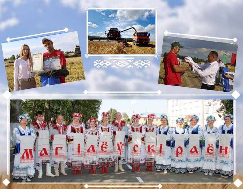 Районный фестиваль-ярмарка тружеников села «Дажынкi-2025» пройдет на Могилевщине 11 октября