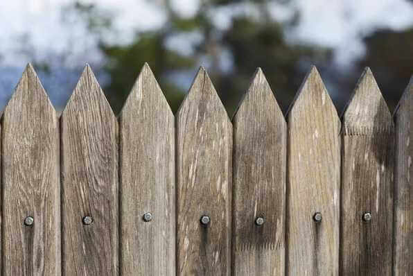 В Могилевской области пенсионерка избила штакетиной соседку за то, что та ступила на территорию ее участка