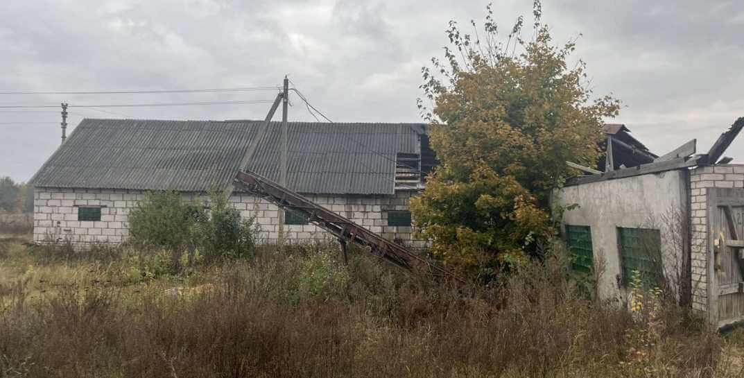 На Могилевщине едва целиком не сгорела пилорама