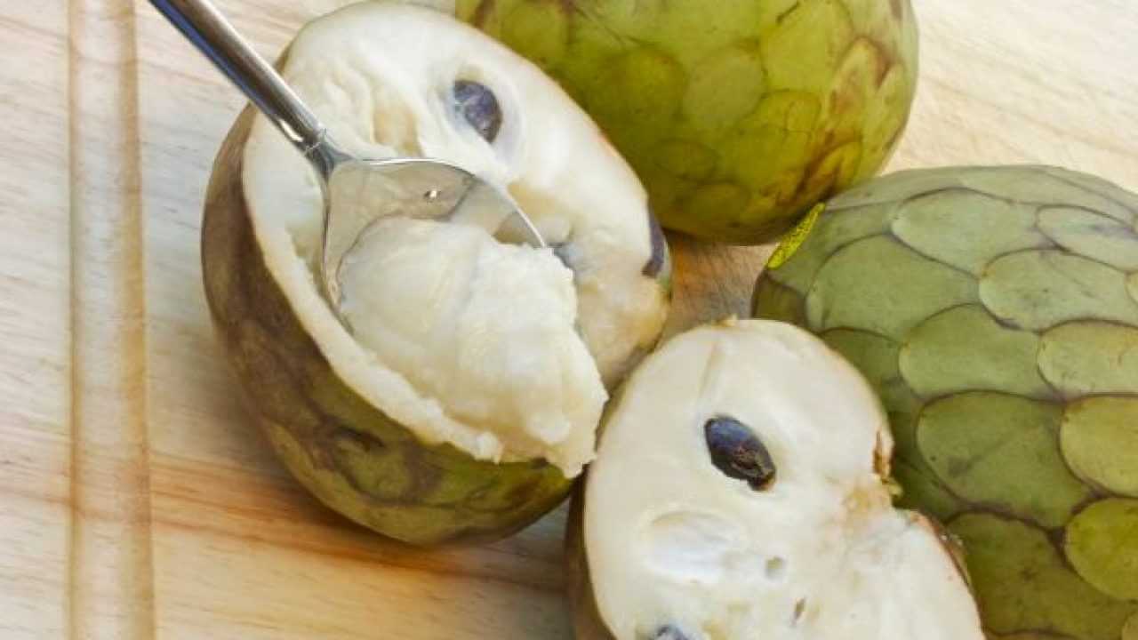 В Могилеве на полках магазина появилась черимойя