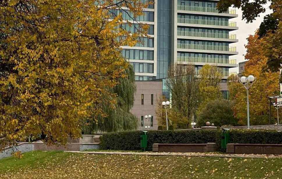 Какой будет погода в Могилевской области в начале следующей недели?