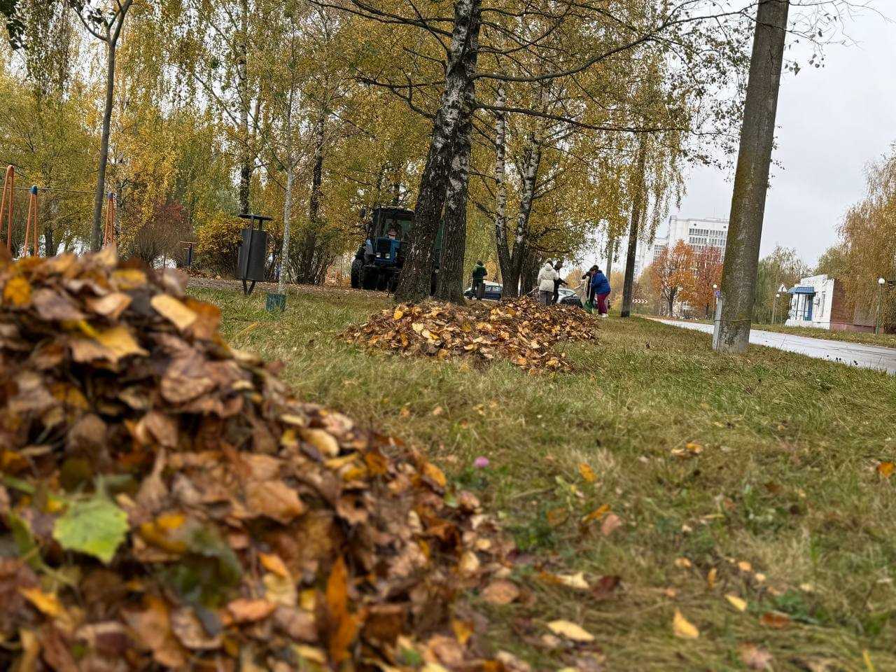 Месячник благоустройства в Ленинском районе Могилева открыт