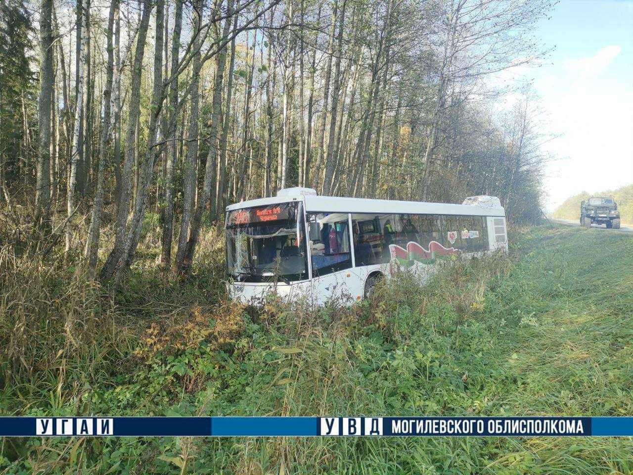 В Могилевском районе пригородный автобус съехал в кювет