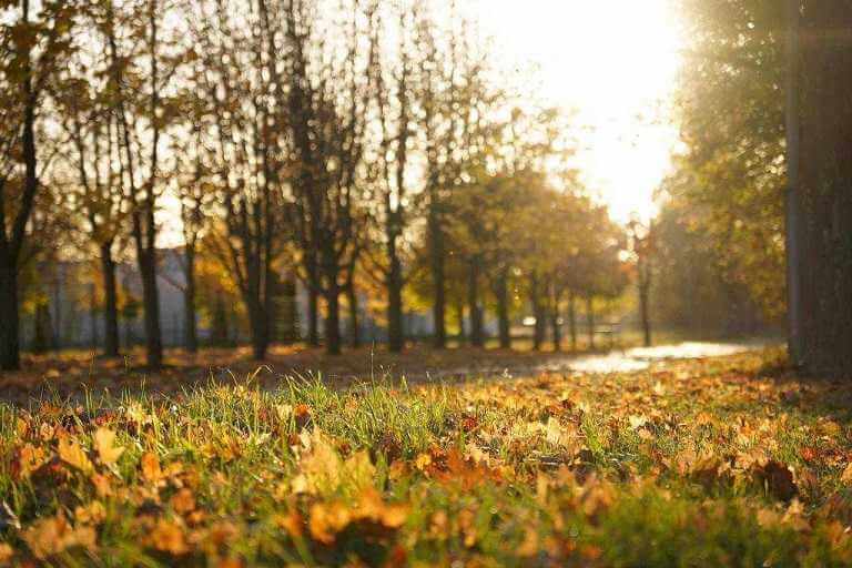 Погода в Могилевской области на длинных выходных