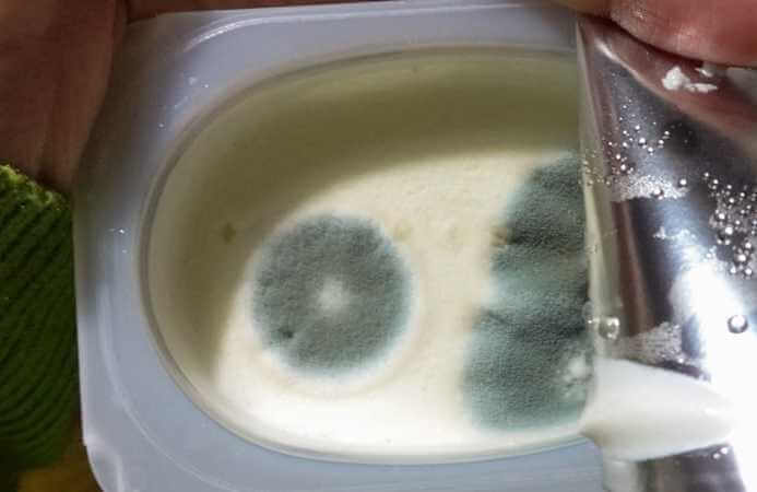 Госконтроль рассказал о просрочке и завышении цен в магазинах на Могилевщине