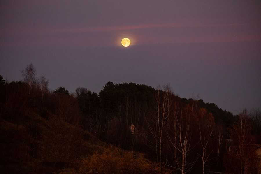Бобровая луна взошла над Могилевом