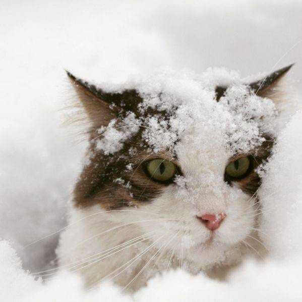 С 10 по 16 ноября в Могилеве ожидается похолодание