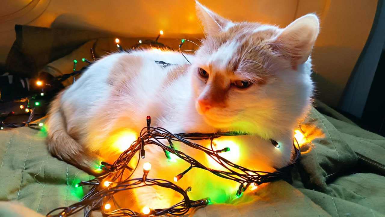 Когда могилевчан ждут следующие большие выходные