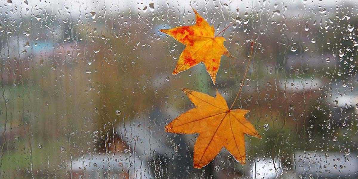 Типичный ноябрь: на выходных в Могилеве обещают дождь, мокрый снег и понижение температуры воздуха