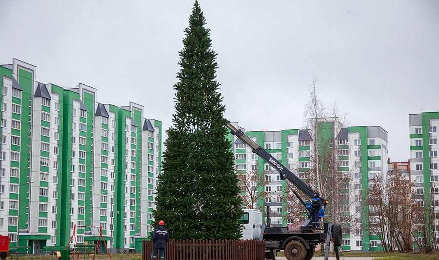 В Могилеве ставят первую городскую новогоднюю елку, но не на центральной площади
