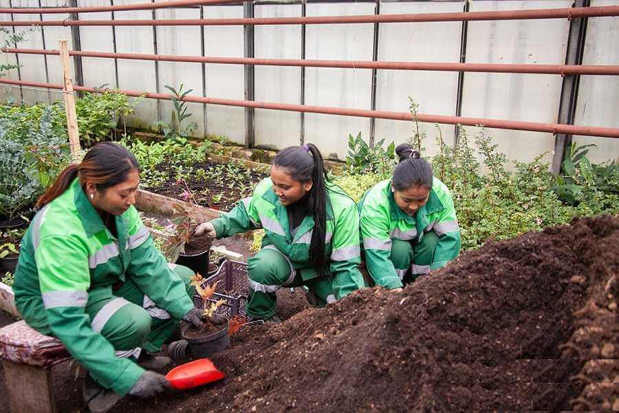 В «Могилевзеленстрой» приехали работники из Непала
