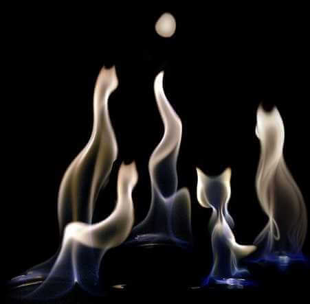 Выставка «Искусство живого огня» откроется в Могилеве 24 декабря