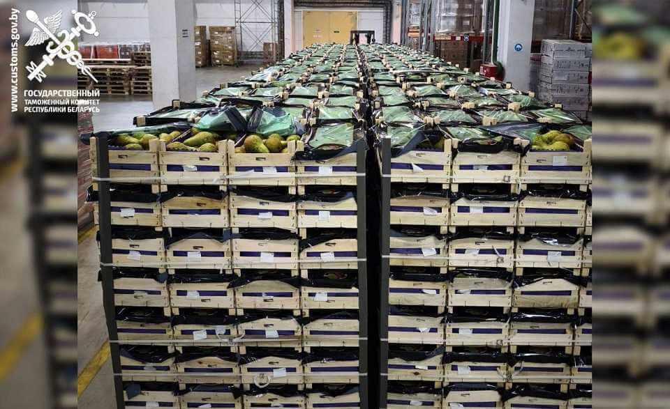 Могилевские таможенники выявили три грузовика с грушами без документов