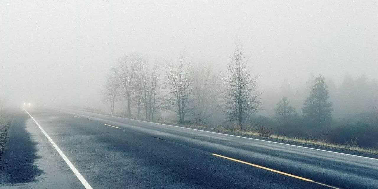 Слабый туман и небольшой «плюс» днем: прогноз погоды на выходные в Могилеве