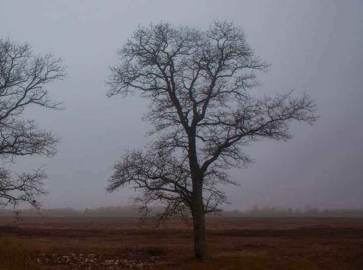 Какой будет погода в Могилевской области в начале следующей недели?