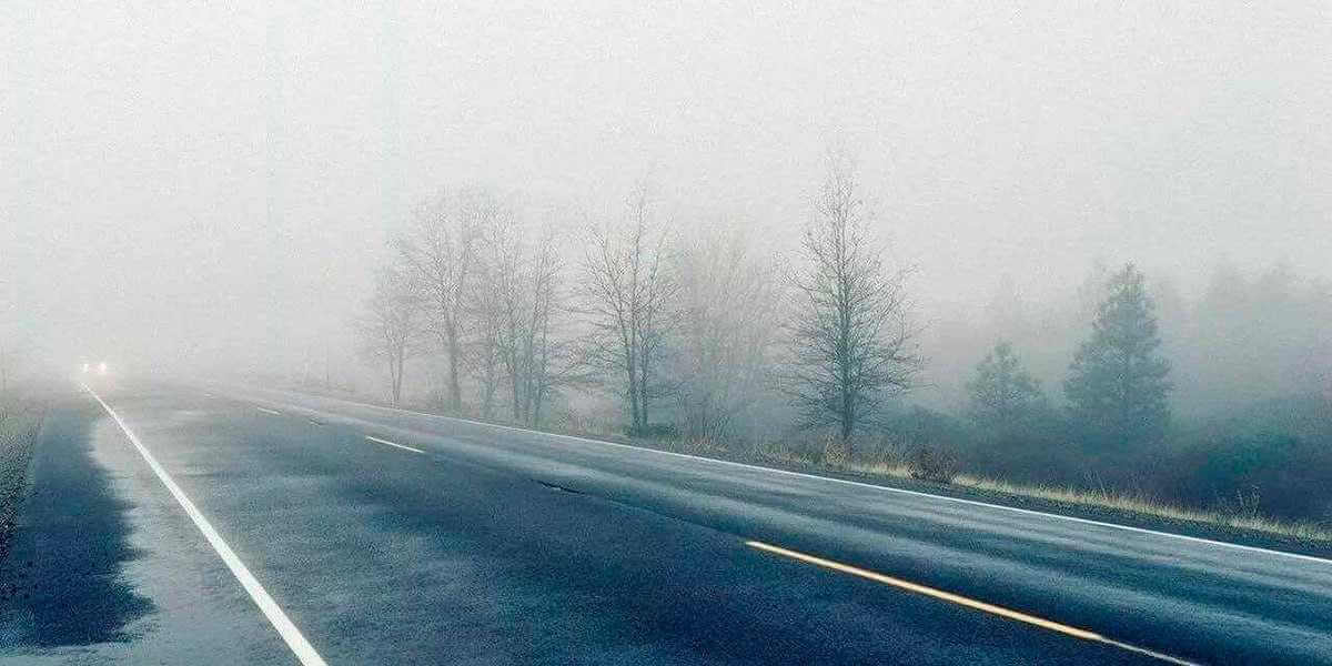 Слабый туман и гололед – прогноз погоды на воскресенье в Могилеве