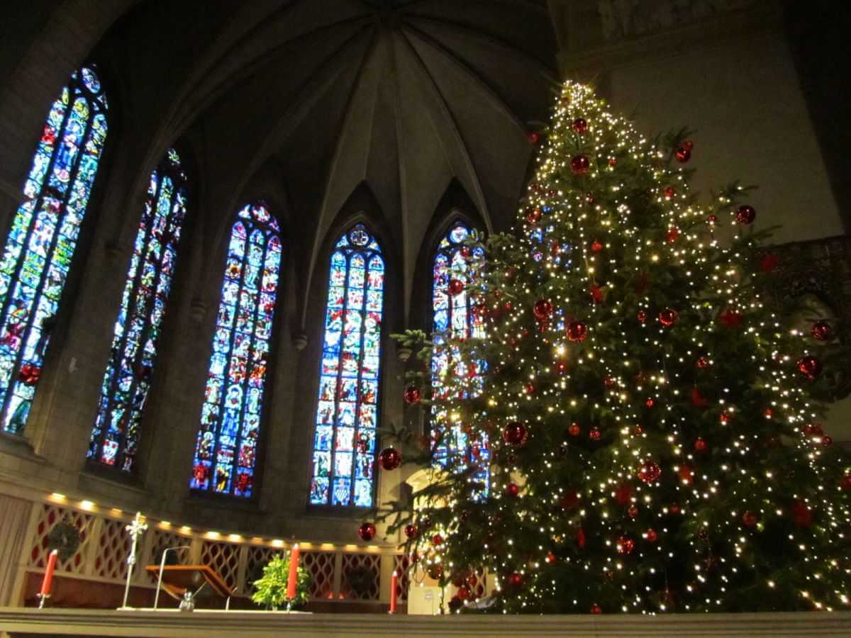 Прогноз погоды в Могилеве в субботу и выходные 27 - 28 декабря