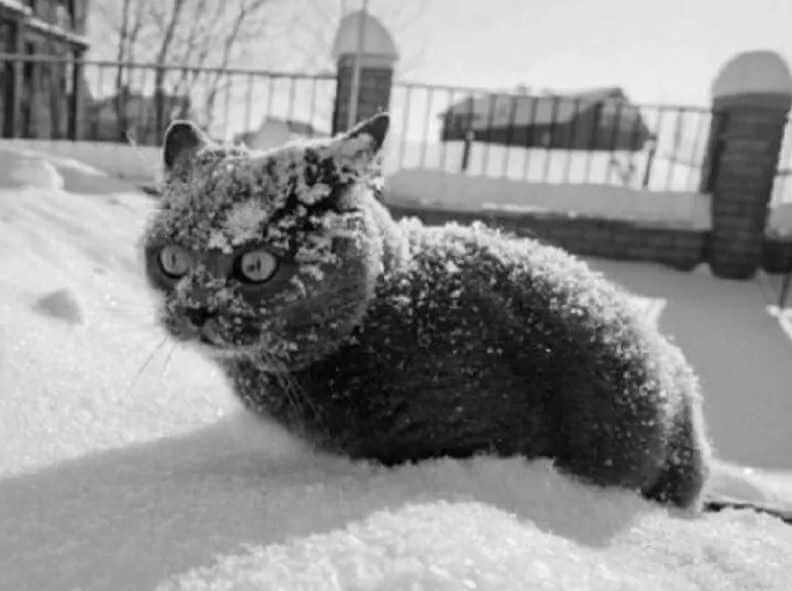 На Могилевщине зафиксировали рекордное падение температуры в Беларуси