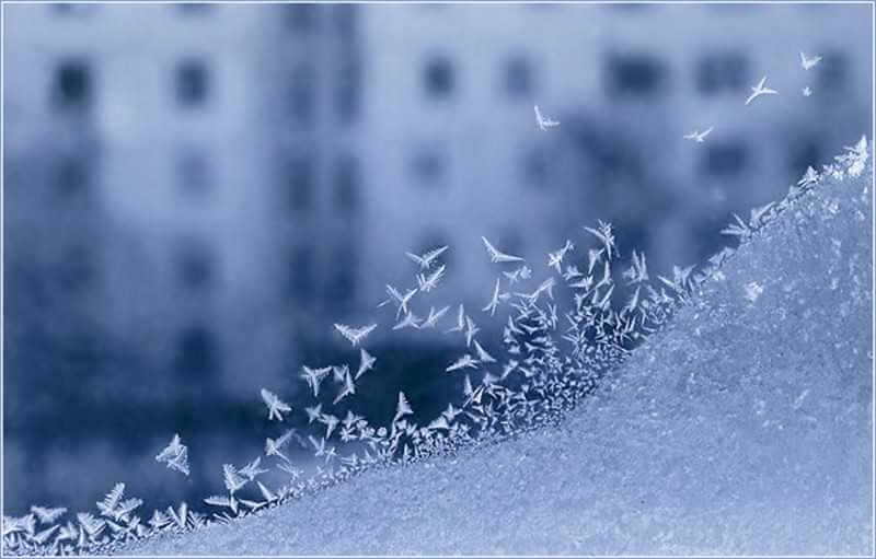 На смену снегопаду в Могилев придут морозы — прогноз погоды на выходные