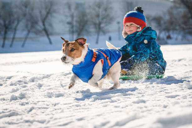 Прогноз погоды в Могилеве в выходные 25  и 26 января