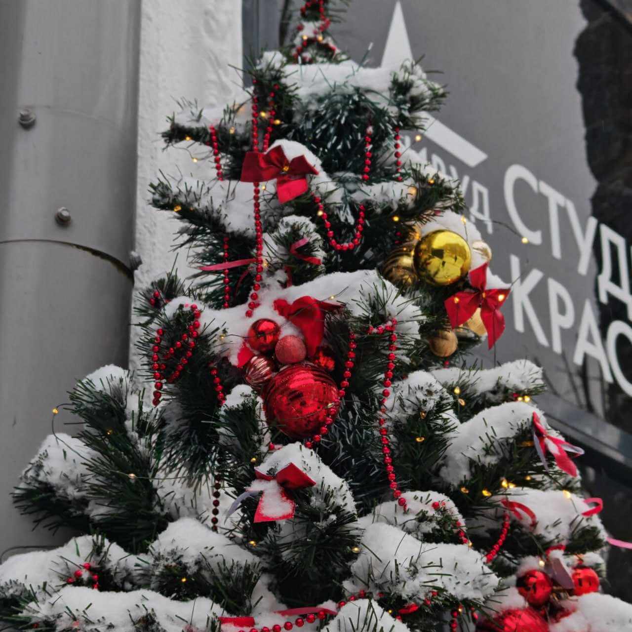 Прогноз погоды в Могилеве в первый день 2026 года: снег и снежные заносы на дорогах