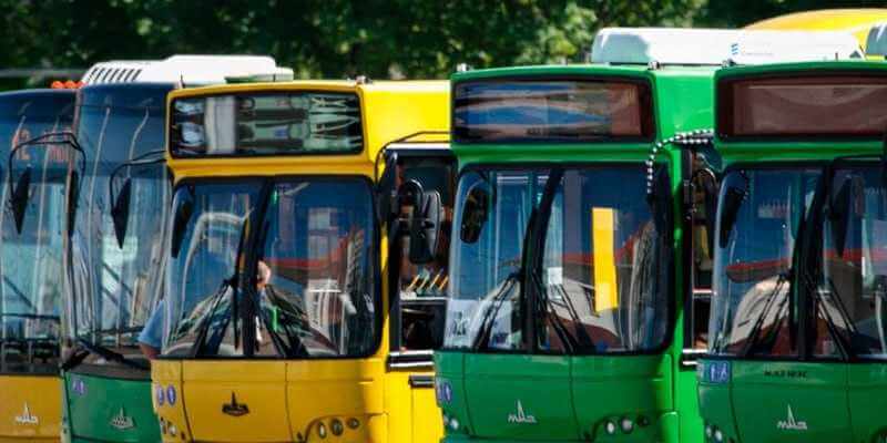 В Могилеве дополнительные автобусы пустят в Печерский лесопарк 7 января