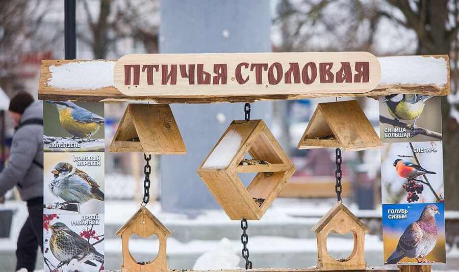 В Могилеве появилась «столовая для птиц»