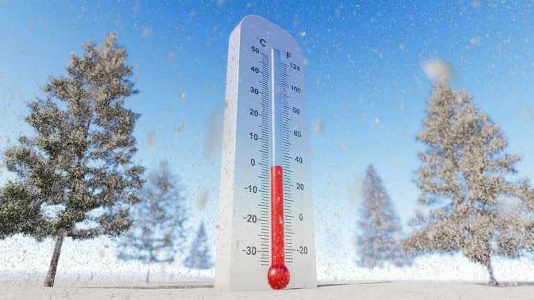 Прогноз погоды в Могилеве 12 января: ночью мороз до -25°С