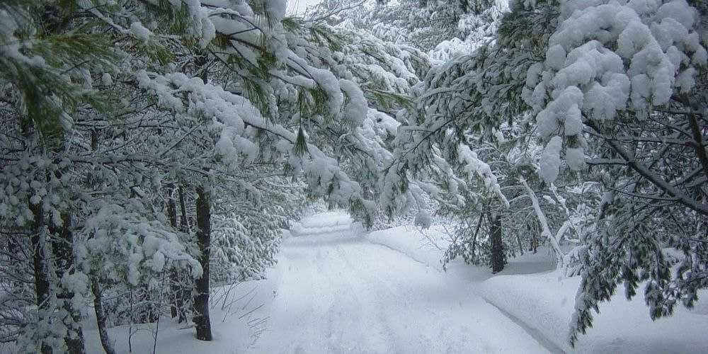 Мороз крепчает: на 15 января в Могилеве объявлен оранжевый уровень опасности