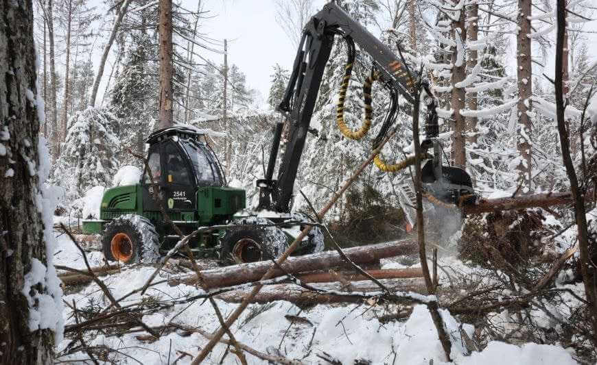 На Могилевщине в морозы развернули масштабную кампанию по уборке бурелома